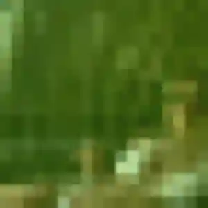 Photo privée de Fabienne, 44 ans à Maurepas - rencontre sans lendemain