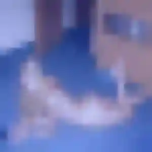 Elena (31 ans) à Melgven cherche une rencontre rapidement