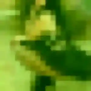 plan cul à Messincourt : photo de Romina, 22 ans - sans engagement