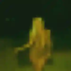 Laurence, fille de 37 ans cherche plan cul à Meyrannes