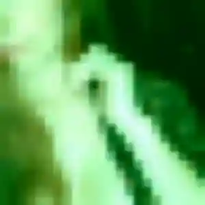 Photo perso de Delice, 34 ans à Mialet - rencontre coquine