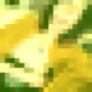 Solange, 31 ans, en ligne à Mirabel pour une rencontre coquine