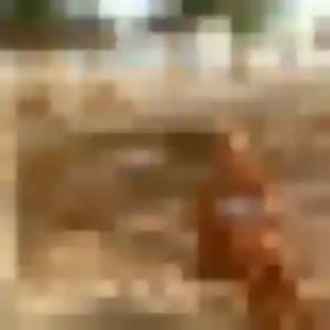 Maeva, 42 ans, connectée à Montardon pour une rencontre coquine