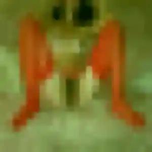 Photo perso de Albertine, 26 ans à Montauville - plan discret