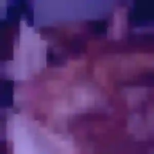 Profil de Malika à Montcaret (33 ans) - plan cul anonyme