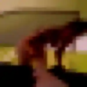Belle Chiara, 45 ans à Monteaux - la contacter