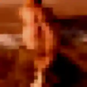 Photo de Zineb à Montech (28 ans) - plan cul gratuit