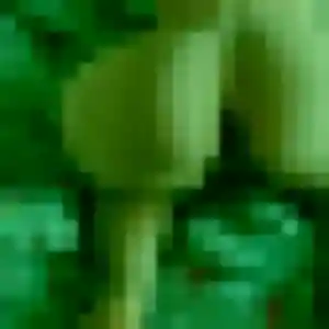 Rejoins Therese, 26 ans à Montélimar en privé