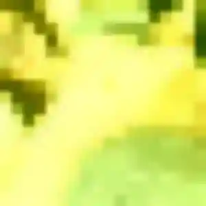 Photo de Laetitia à Monthureux-sur-Saône (31 ans) - plan cul anonyme