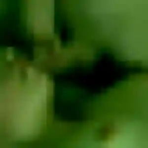 plan cul à Montigny-aux-Amognes : photo de Olga, 43 ans - inscription gratuite