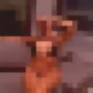 Natasha, 45 ans, connectée à Montmiral pour une rencontre coquine