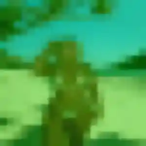 Contacte Ghislaine, 35 ans à Montpellier en t'inscrivant