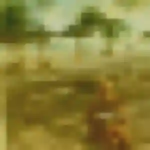 Isabelle, fille de 42 ans propose plan cul à Montreuil-Bellay