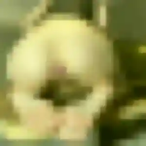 Photo de Louise à Morillon (27 ans) - plan cul discret