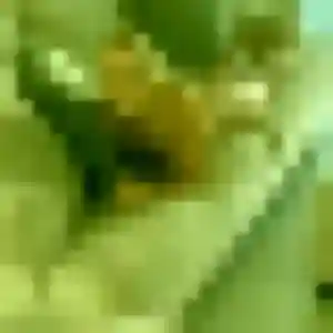 Madeleine, 23 ans, veut un plan cul à Morlaix