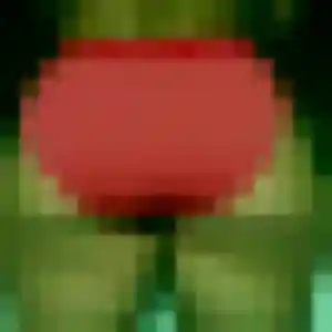 Belle Fleur, 30 ans à Mortagne-sur-Sèvre - découvrir son profil