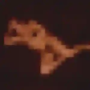 Madeleine de Mortagne-sur-Sèvre, 39 ans - plan cul sans lendemain