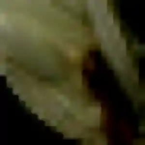 Margot, femme de 35 ans cherche plan cul à Mortagne-sur-Sèvre