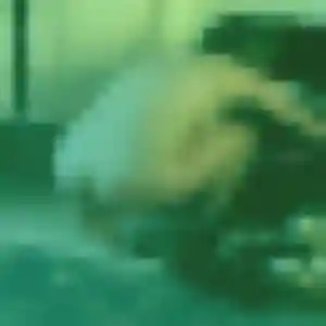 Gwendoline, 28 ans, connectée à Mouettes pour une rencontre coquine