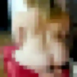 Photo de Camille à Mouriès (22 ans) - plan cul anonyme