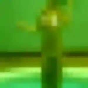 Photo de Lisa à Moyenmoutier (36 ans) - plan cul discret