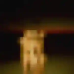 Charmante Celine, 31 ans à Murviel-lès-Béziers - la contacter