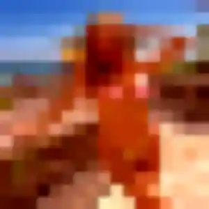 Photo de Leila à Naucelle (36 ans) - plan cul anonyme