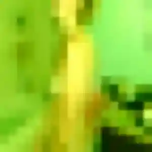 Profil de Domitille à Naucelles (29 ans) - plan cul gratuit