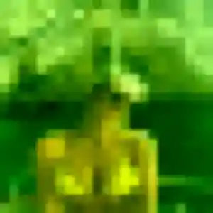 Isabella de Neubois, 29 ans - plan cul en toute liberté