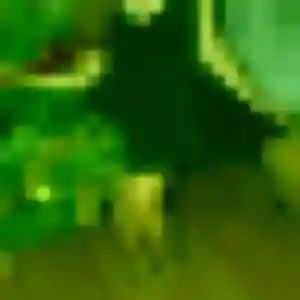 Oceane (35 ans) à Neubois cherche un plan cul ce soir