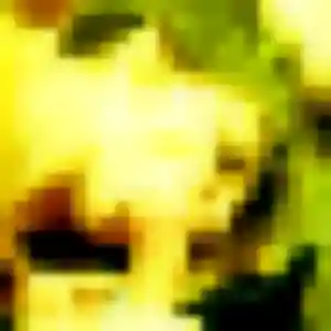 Djamila, femme de 34 ans propose plan cul à Neuf-Mesnil