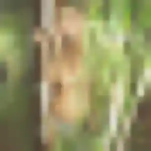 Mathilda, 28 ans, disponible à Neuf-Mesnil pour un plan cul