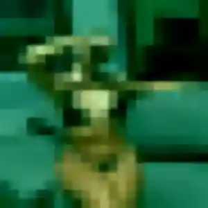 Photo exclusive de Quitterie, 33 ans à Neuf-Mesnil - plan discret