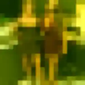 Maelys, 43 ans, veut un plan cul à Neulise