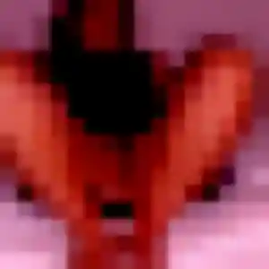 Sexy Marie, 42 ans à Nieppe - la contacter