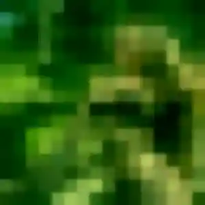 Cecile, 31 ans, connectée à Nostang pour une rencontre coquine