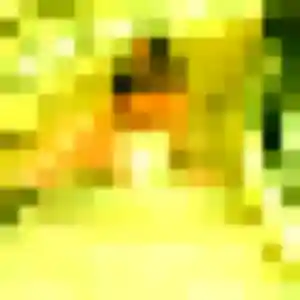 Photo exclusive de Olivia, 23 ans à Nouvoitou - plan discret