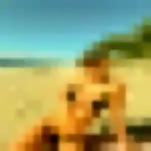 Armelle de Noyal-sur-Vilaine, 39 ans - plan cul discret