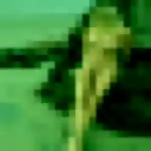 Brune (36 ans) à Noyal-sur-Vilaine cherche un plan cul aujourd'hui