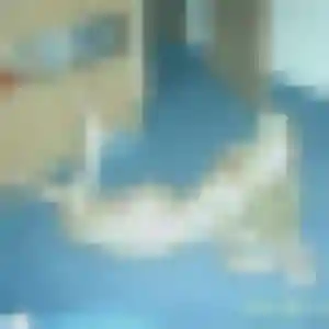 Aurore, 31 ans, connectée à Obenheim pour un plan cul