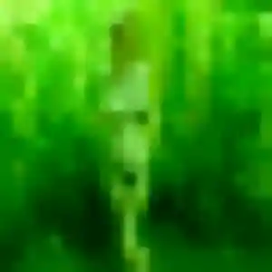 Photo sexy de Eglantine, 26 ans à Obermodern-Zutzendorf - plan discret