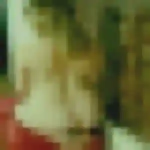 Photo de Debora à Oberschaeffolsheim (32 ans) - plan cul anonyme