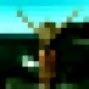 plan cul à Obies : photo de Delice, 34 ans - inscription gratuite