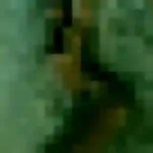 Karima, fille de 26 ans veut plan cul à Offekerque