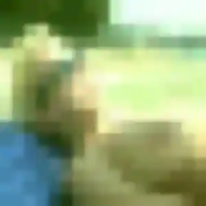 Profil de Eglantine à Oiry (28 ans) - plan cul gratuit