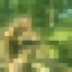 Photo sexy de Caroline, 40 ans à Ollioules - plan discret