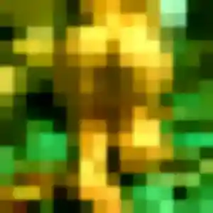 Karine de Optevoz, 33 ans - plan cul en toute liberté