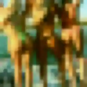 Photo sexy de Muriel, 41 ans à Orgon - rencontre coquine