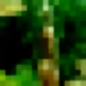 plan cul à Ouges : photo de Gilberte, 25 ans - sans engagement