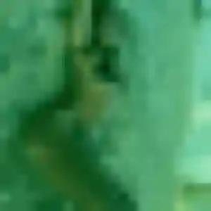 Elsa, femme de 43 ans cherche plan cul à Parcé